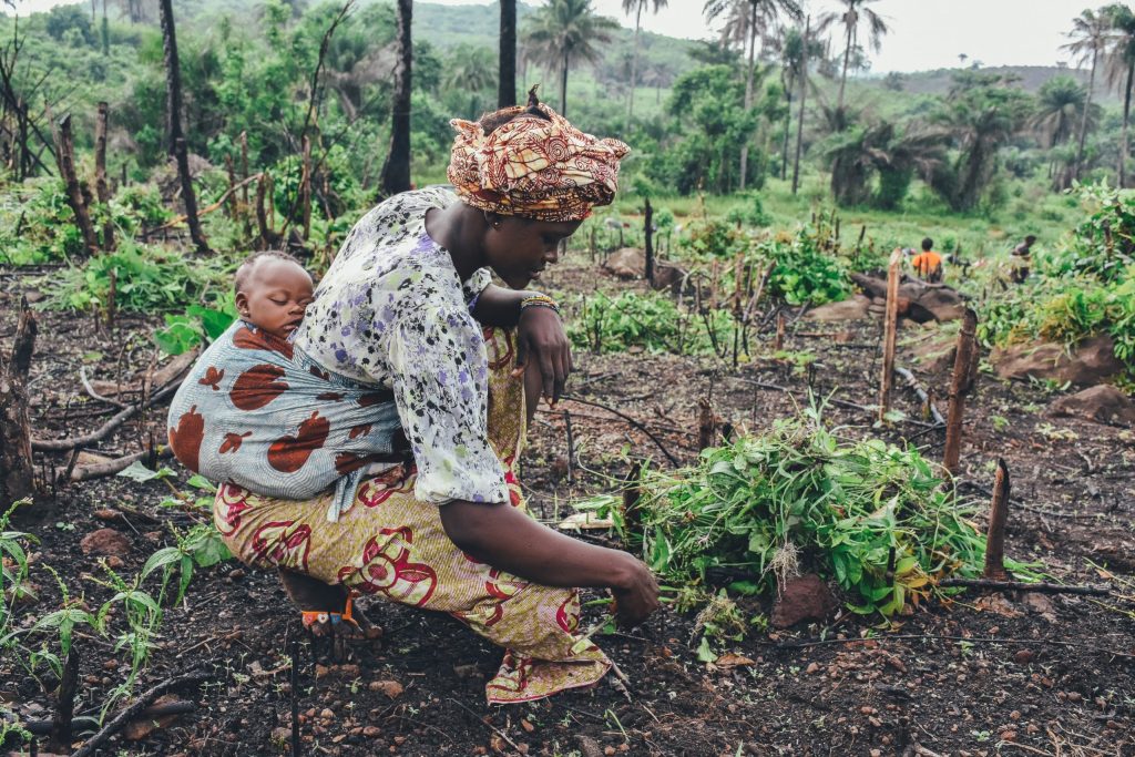 L'USSD des services mobiles qui renforcent l'efficacité des agriculteurs et transforment l'agriculture